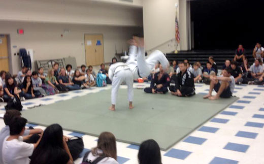 Brazilian Jiu Jitsu Wrestling and Judo at Palm Desert Middle School